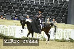 24R13_20444 thumbnail
