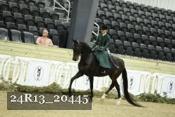 24R13_20445 thumbnail