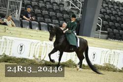 24R13_20446 thumbnail