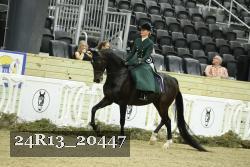 24R13_20447 thumbnail