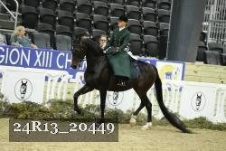 24R13_20449 thumbnail