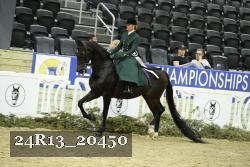 24R13_20450 thumbnail