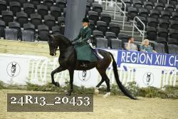 24R13_20453 thumbnail