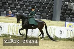 24R13_20454 thumbnail