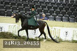 24R13_20455 thumbnail