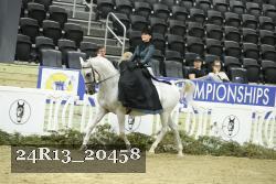 24R13_20458 thumbnail