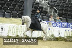 24R13_20459 thumbnail