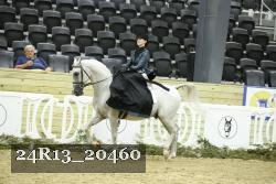 24R13_20460 thumbnail