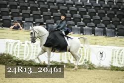 24R13_20461 thumbnail