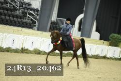 24R13_20462 thumbnail