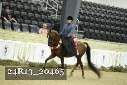 24R13_20465 thumbnail