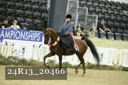24R13_20466 thumbnail