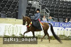24R13_20468 thumbnail