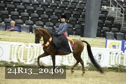 24R13_20469 thumbnail
