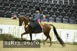 24R13_20470 thumbnail