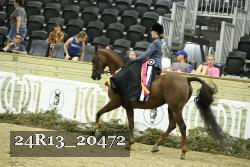24R13_20472 thumbnail