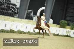 24R13_20481 thumbnail