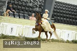24R13_20482 thumbnail