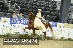 24R13_20484 thumbnail