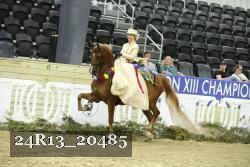 24R13_20485 thumbnail