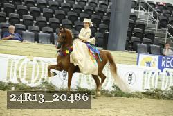 24R13_20486 thumbnail