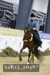 24R13_20487 thumbnail