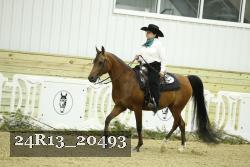 24R13_20493 thumbnail