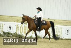 24R13_20494 thumbnail