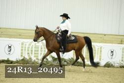 24R13_20495 thumbnail