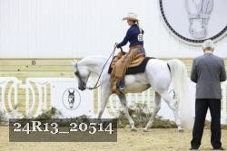 24R13_20514 thumbnail