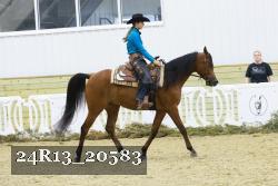 24R13_20583 thumbnail