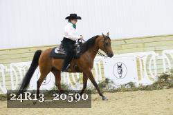 24R13_20590 thumbnail