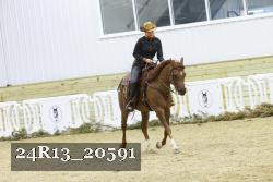 24R13_20591 thumbnail