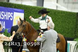 24R13_20598 thumbnail