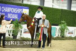 24R13_20601 thumbnail