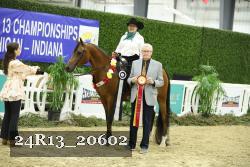 24R13_20602 thumbnail