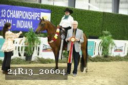 24R13_20604 thumbnail