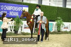 24R13_20605 thumbnail