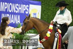 24R13_20607 thumbnail
