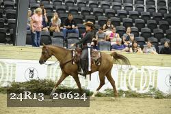 24R13_20624 thumbnail