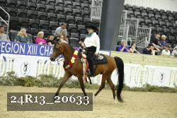 24R13_20633 thumbnail