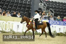 24R13_20634 thumbnail