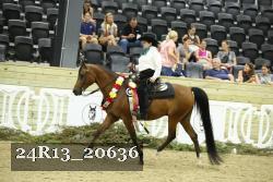 24R13_20636 thumbnail