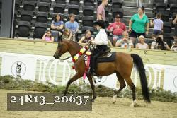 24R13_20637 thumbnail