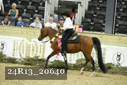 24R13_20640 thumbnail