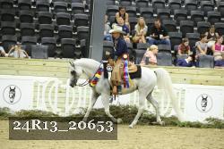 24R13_20653 thumbnail