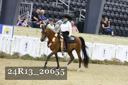 24R13_20655 thumbnail