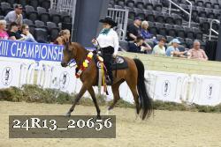 24R13_20656 thumbnail