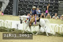 24R13_20657 thumbnail