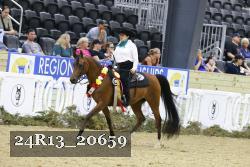 24R13_20659 thumbnail